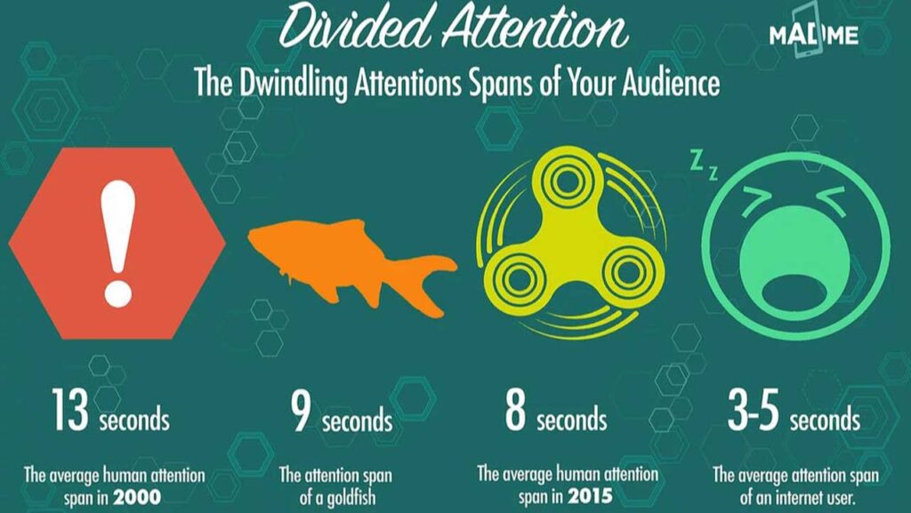 different attention spans