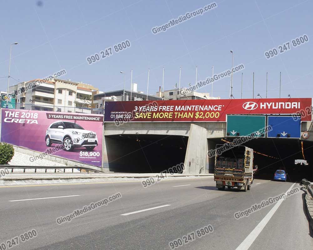 Top colors used in Auto rickshaw advertising