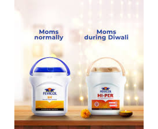 Fevicol: The Bond of Love