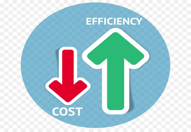 Cost Efficiency